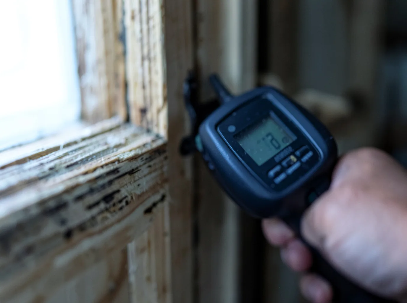 Moisture Inspection And Documentation in Natchez, LA